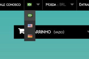 Mostrar bandeiras do idioma na Loja Virtual – PrestaShop para ficar Ux.